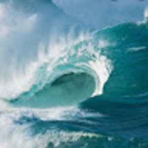 Meet your Posher, Ohio